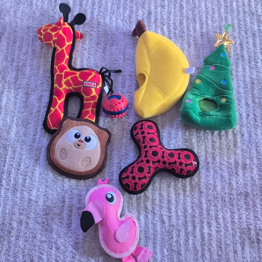Dog Toys Pk 4